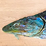 fish mosaic thumbnail